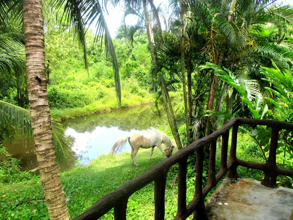 Happiness Resort Ban Khlong Haeng Extérieur photo